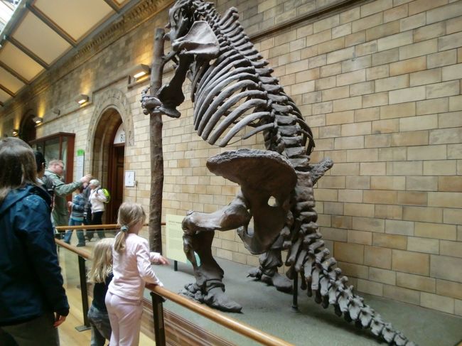 恐竜の化石が置かれていた。