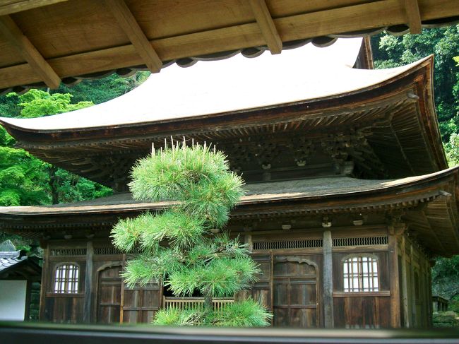 <br />日本最古の唐様建築<br />屋根に邪魔され、中央の樹に視界を<br />遮られながらも...   <br />　　　充分堪能させて頂きました♪