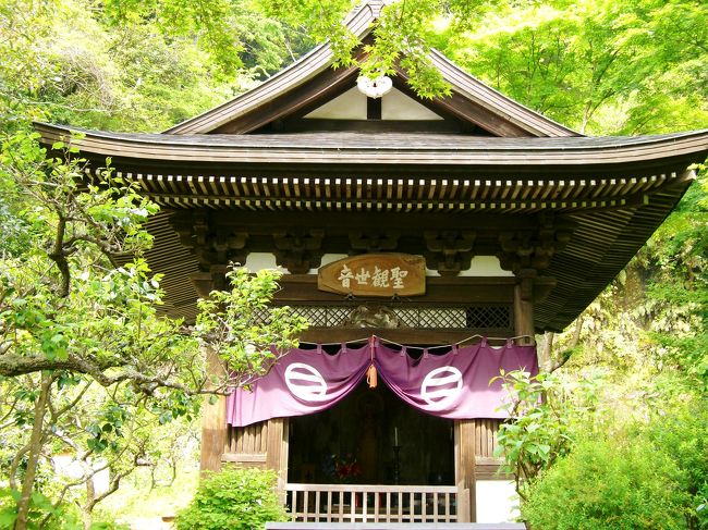 <br />仏殿の裏側「黄梅院」に安置されている<br />聖観世音菩薩 