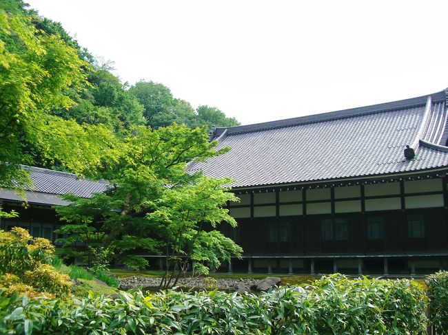 　方丈（居間）<br /><br />法要や坐禅会、説教会、講演会など<br />多目的に使われている。<br />庭の手入れも行き届き、落ち着いた<br />佇まい。