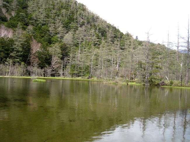 梓川の古い流路が明神岳からの崩落砂礫によってせきとめられてできた池で、明神岳からの伏流水が常に湧き出ているため透明度が高いようです。