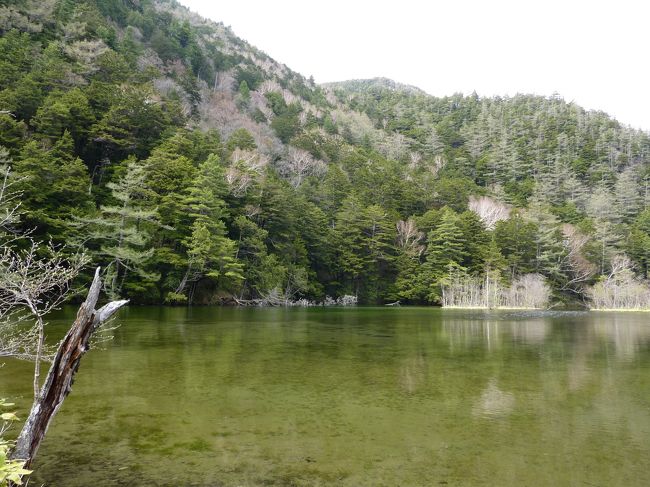 夏はさぞかし緑も濃くもっと素晴らしい景観でしょうね。