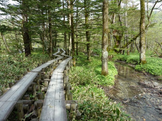 梓川右岸は木道があり、景色も変化があり歩くにはこちらがいいです。