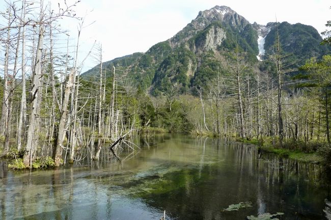 六百山の岩場が良く見えます。