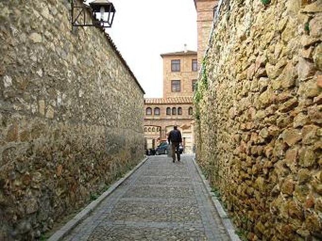 石畳と壁が歴史を感じさせます。