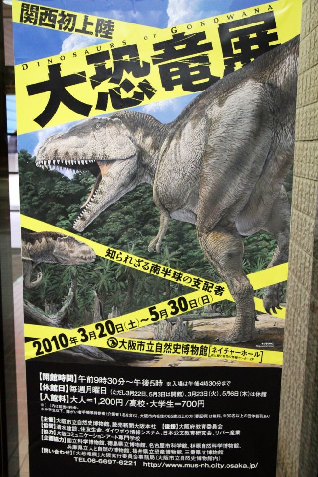 知られざる南半球の支配者 大恐竜展 大阪市立自然史博物館 住吉 平野 大阪 の旅行記 ブログ By みにくまさん フォートラベル 知られざる南半球の支配者 大恐竜展 大阪市立自然史博物館 住吉 平野 大阪 の旅行記 ブログ By みにくまさん フォートラベル