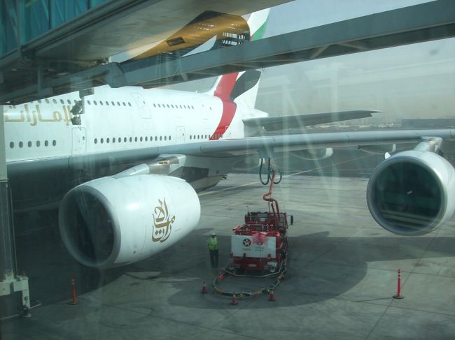 もちろんエンジンは４つ<br />このＡ３８０は実際乗ってみると噂通りエンジン音が静か、ドバイまで乗っていた最新ボーイングより半分くらい静か（主観）で離陸の時の耳がキーンとなるあれも少ない、そして湿度を高く保てるためあまり水分が必要なく肌にも優しく感じました。欠点は乗客が多いのでトイレが常に一杯。