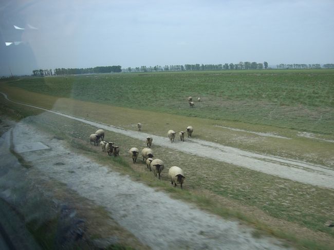 11:10発のバスでレンヌに帰ります