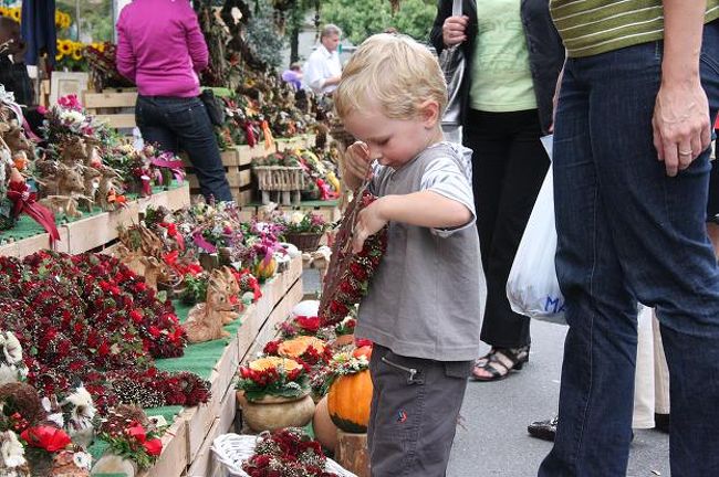 もうじきハロウィーンとクリスマス　　ぼくこの花飾りが欲しいよー　　<br />　　<br />I was interested in this dry flower wreath. Come sooner Halloween!<br />