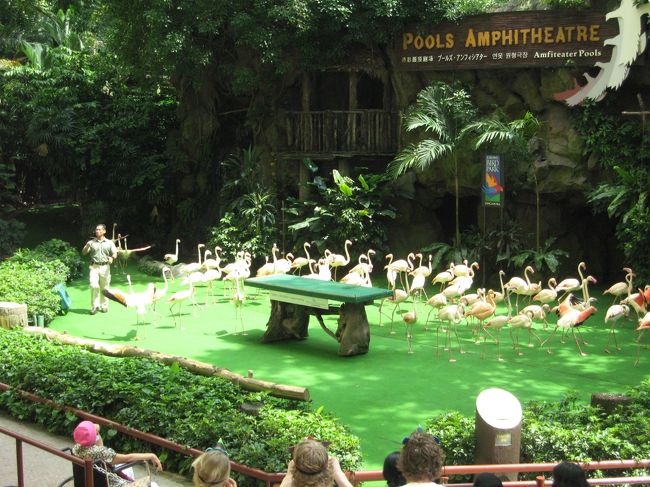 バードショウも。