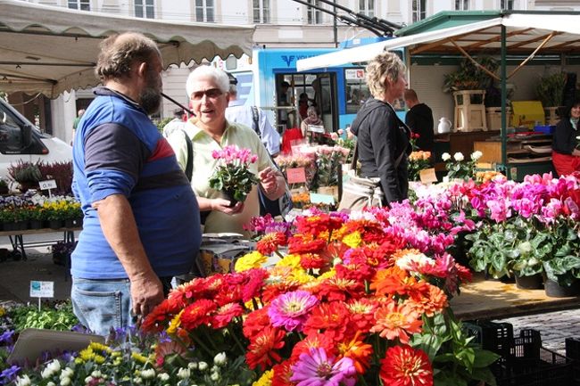 花屋の店先でのやり取りはどちらも真剣そうだが和やかだ　　<br />　<br />Negotiation at flower shop is going on earnestly and friendly.
