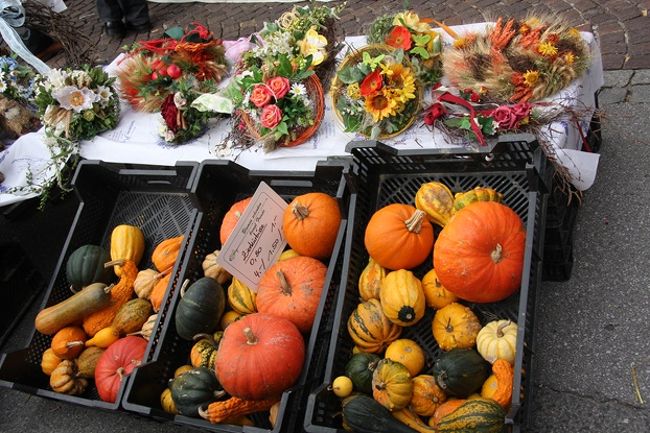 ハロウィーンを前にしてカボチャや花のアレンジメントを売る店がいっぱい出ている　<br /><br />Shops to sell pumpkins and flower arrangements are increasing before <br />Halloween.