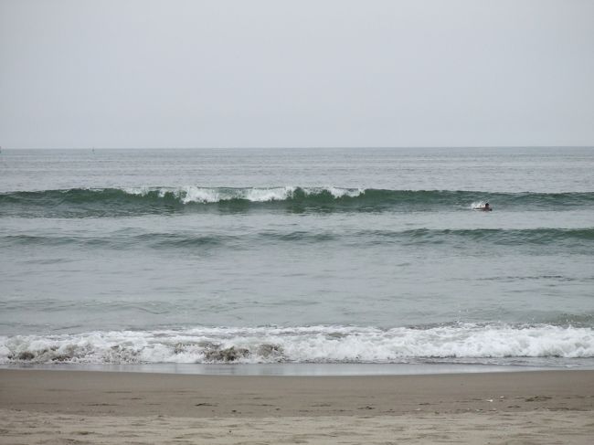 サーファー発見！