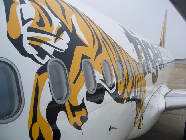 今回は、往路と復路で違う航空会社を利用。<br />(往路：ジェットスター、復路：タイガーエア)<br />帰りのタイガーエアは、超満員☆<br /><br />マカオ、なんだか見るもの全部が新鮮ですっごく楽しかった！！！<br />近々、ぜったい再訪したい！！