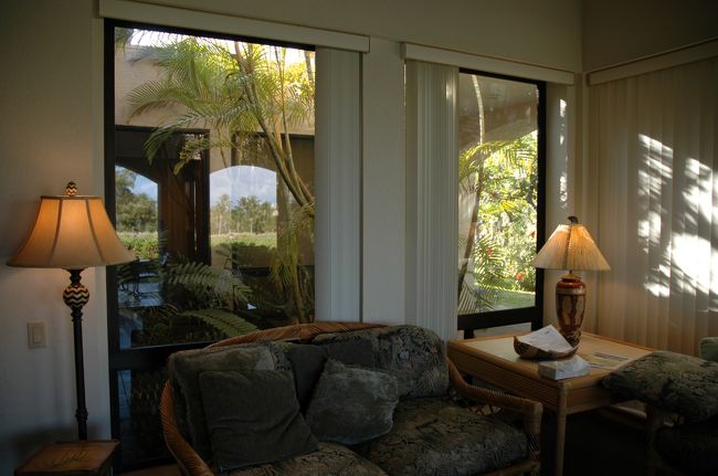 天井が高く思ったより豪華な調度のリビングルーム。