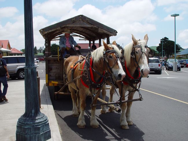 馬車での見学ツァーもあるようです。（今回は行ってません）
