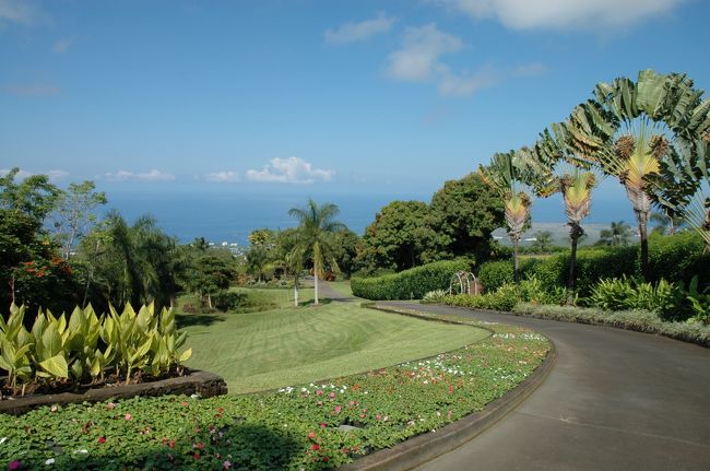 翌日は、コナへ行きました。<br />ドトール・コーヒーの農場、マメカ・メドゥズ。<br />広い敷地内を散策でき、もちろん試飲もできます。