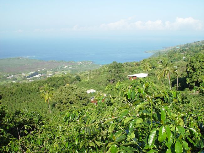 翌日、ボルケーノへと向かいます。<br />ワイコロア〜コナ〜ナアレフ〜キラウェアの順に、溶岩流、溶岩台地、熱帯雨林、高原帯と大海原、次々と変化する景色を楽しみながら車を走らせます。