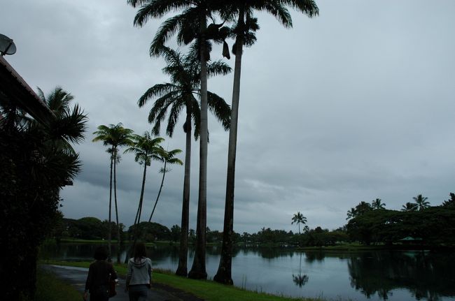 ヒロの街。ここはそれほど、風雨ともに強くない。