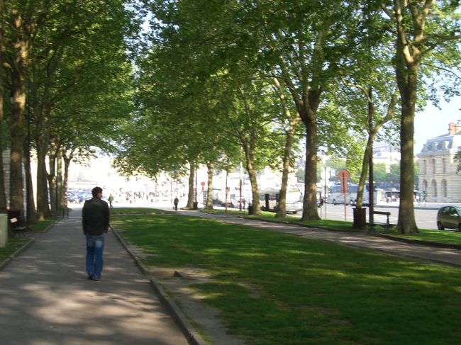 次にパリ大通りとの交差点を左に、するとこのような<br /><br />並木道が続きます。宮殿はその奥にあります。