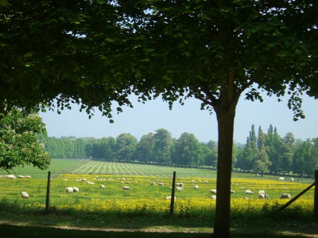 動物も飼っています