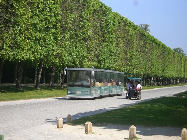 トラン以外にもミニカーもあります<br /><br />国際免許さえあれば乗れるようです