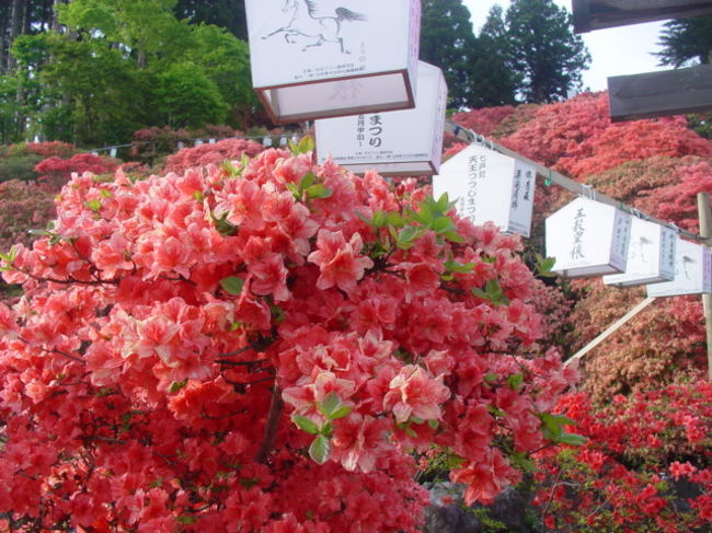 青森県 七戸城跡と天王つつじまつり 上北 青森県 の旅行記 ブログ By びしさん フォートラベル 青森県 七戸城跡と天王つつじまつり 上北 青森県 の旅行記 ブログ By びしさん フォートラベル