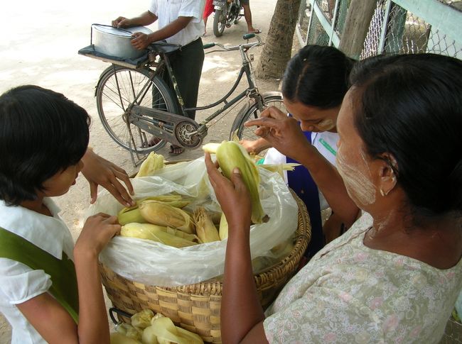 売ってるのはとうもろこし。