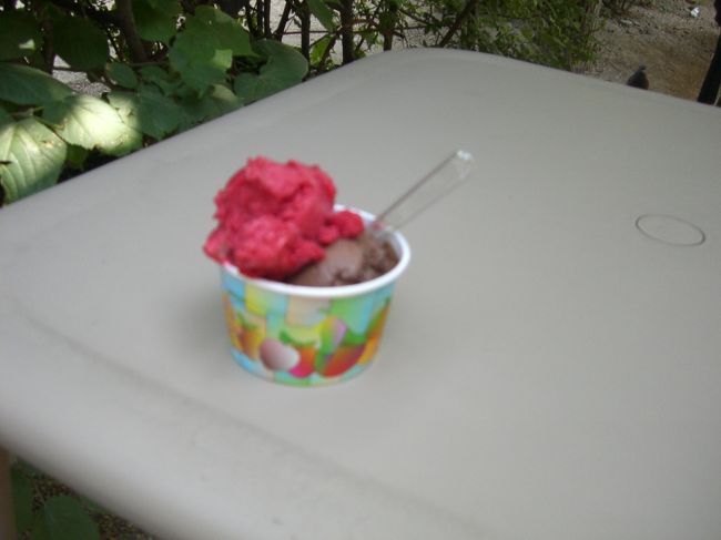 庭園内にカフェがあり軽食や飲み物が売っています<br /><br />暑かったのでアイスのＷを注文<br /><br />上はストロベリー、下がチョコ<br /><br /><br />味はまあまあかな、でも雰囲気は最高！！