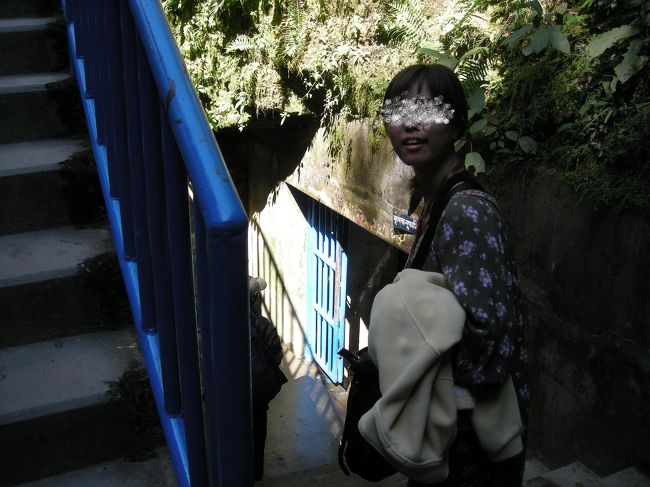 洞窟への道でした。