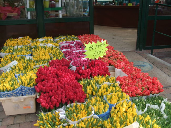今朝もホテルの近所の花屋さんで。<br />チューリップの季節です。ちなみに、50本で10ユーロです。安っ。