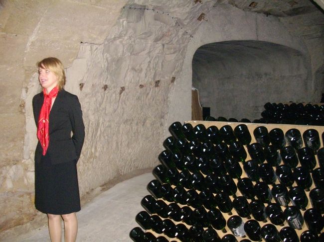 美しいオネェさんのフランス語ガイドを聞きながら見学します。<br />フランス語･･･チンプンカンプン。<br />目で色々感じる事ができたので満足です。