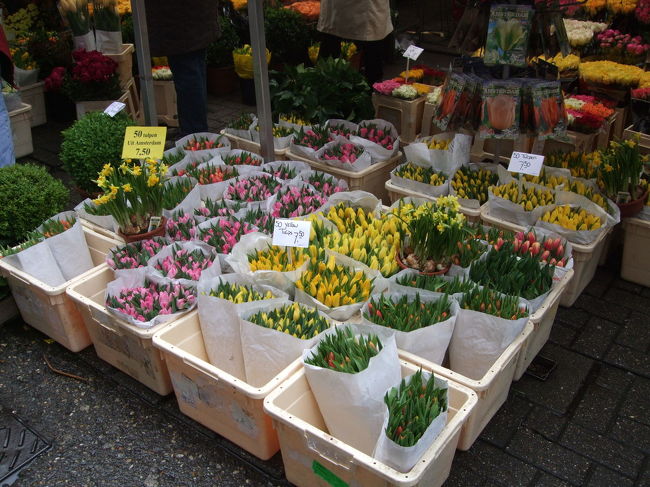 球根や切花を売っています。この季節は、チューリップがメインのようです。
