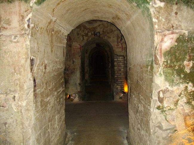 貯蔵庫は、まるで迷路のようでした。