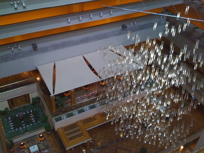 さて、夫の夢は、イルカと泳ぐことです。<br />セントーサ島のドルフィンラグーンでイルカと泳げることを知り、今回の旅で実現しようと、ホテルのコンシェルジュカウンターでドルフィンスイムの予約を頼んでみました。<br />本当は前もってインターネットで予約できるんですけどね。してなかったんですね。気が変わるかもと思って。<br />結局、この日は既に営業時間が終わってて、誰も電話に出ないので、明日の朝イチで電話してくれることになりました。