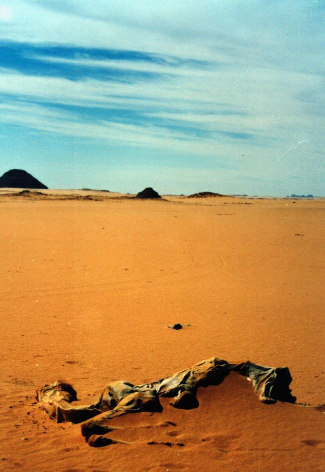 逃亡に失敗した、ラクダの末路。<br />静かに、ゆっくりと、砂の中に沈んでいく。