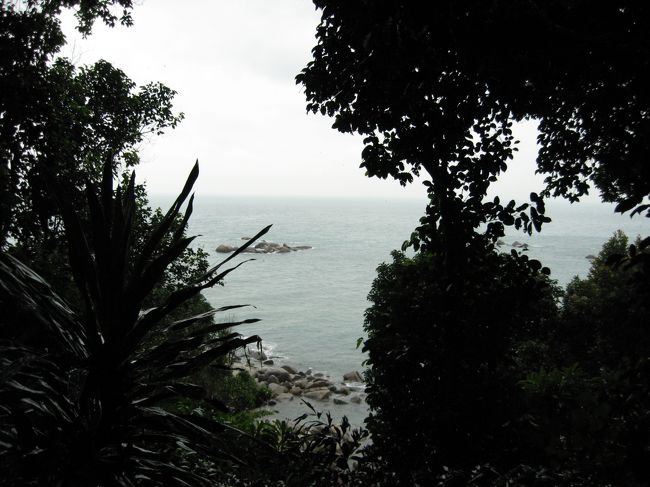 あいにくの曇り空でした。