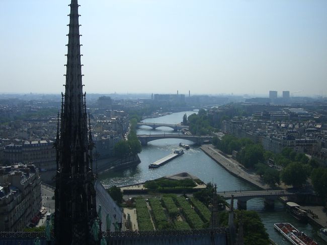 やばい、この景色を見ると日本に帰りたくない