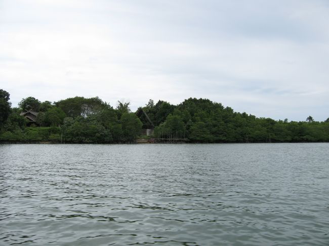 マングローブツアーへ。