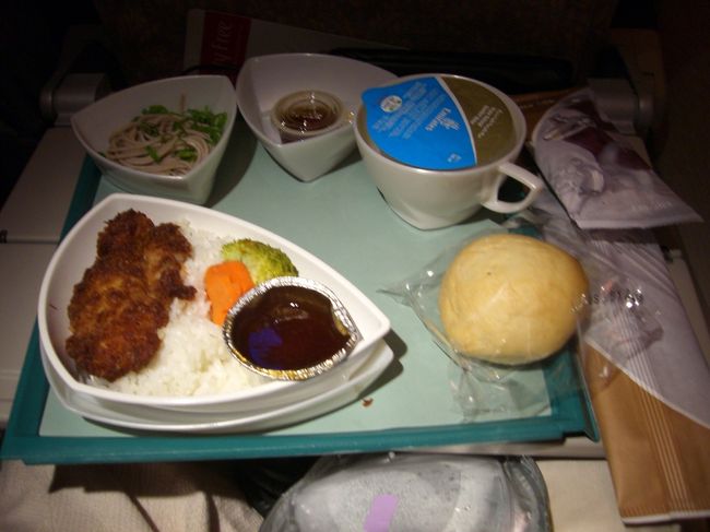 ドバイから関空までの機内食１<br /><br />チキンカツと蕎麦です<br /><br />なかなかおいしかったです