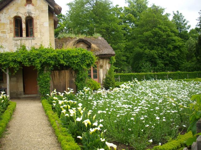 お花畑もありました。