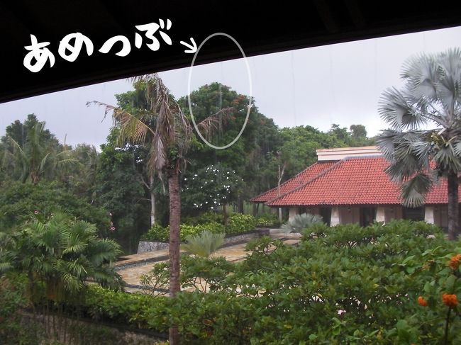 今日も一日プール♪<br /><br />朝目が覚めて外を見たら<br /><br />ｶﾞ━━(;ﾟДﾟ)━━ﾝ!!<br /><br />なんと<br />まさかの雨だよ〜<br /><br />