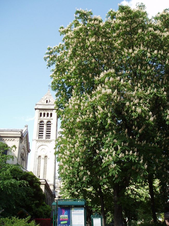 食事が終わって外にでたら、日差しが戻っていました。<br />ノートルダム・デ・シャン寺院とマロニエの白い花が綺麗。<br /><br />リュクサンブール公園に行ってみましょうか。