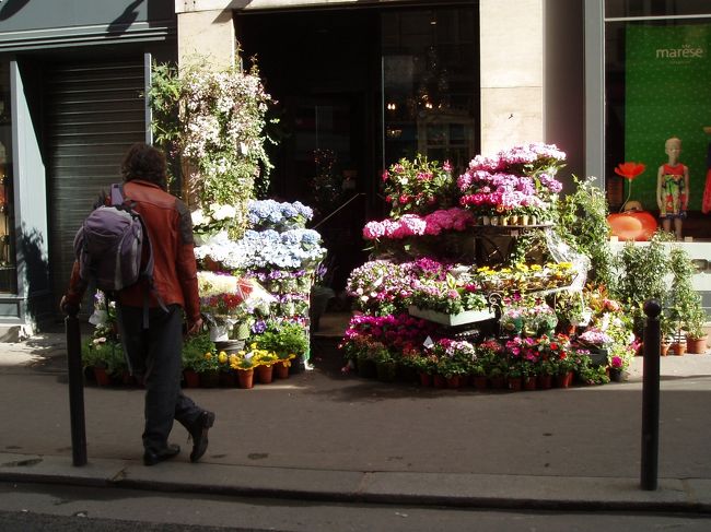 花屋の前にたたずむパリジャン（？）<br />なんとなく、パリっぽい？<br /><br />お花。<br />アジサイ各種も売っていました。<br />菊も人気の花だと聞いたことがありますが、<br />花の好みが違うみたいです。