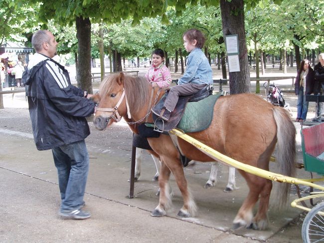 公園の一角に子供乗馬コーナーが。