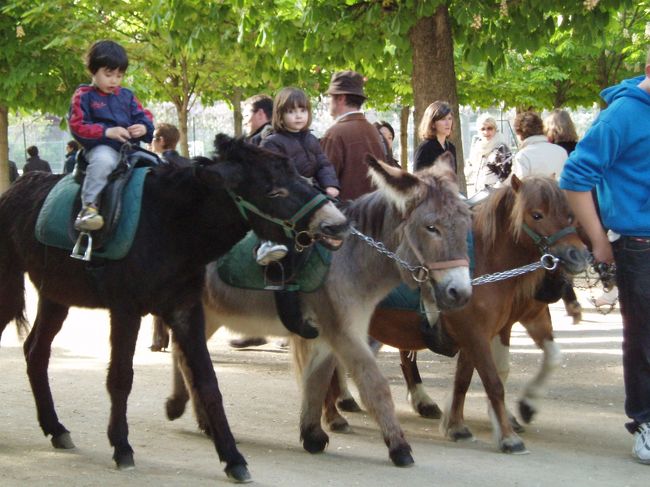 うふふっ、可愛い。<br /><br />ポニーとロバとポニーの引く馬車の選択がありました。<br /><br />女の子はカメラ目線です。<br />