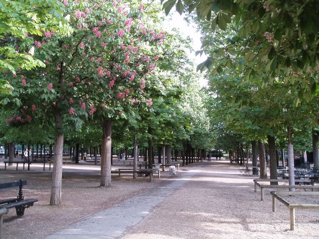 そろそろホテルに戻って、夜遊びに備えましょう。<br /><br />ところが、私がシャワーを浴びて着替えてみると、夫は寝ている。<br />「起きてよ〜。モンパルナスタワーくらい行こうよ！」<br /><br />ばっしゃーん。　？？<br /><br />バケツをひっくりかえしたような雨。<br />窓の下が屋根なので余計に大きな音なのかもしてませんが、外には出たくない降り！<br /><br />で、パリ終了です。