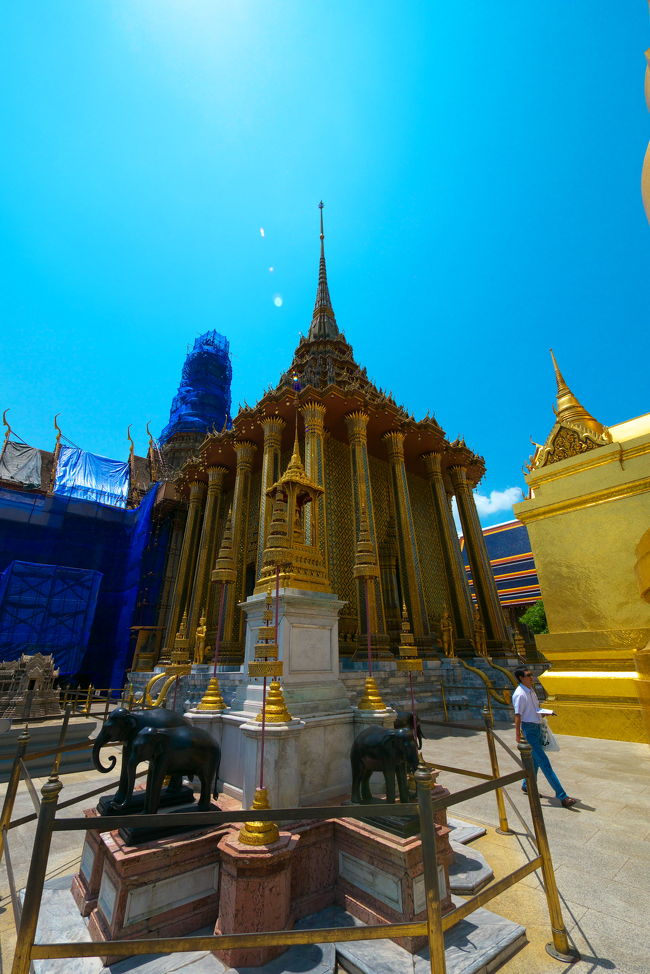 名前が何というかわかりませんが、なんとなく印象的な