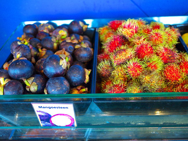 右のはなんだったか名前は忘れましたが、毛が生えていました。