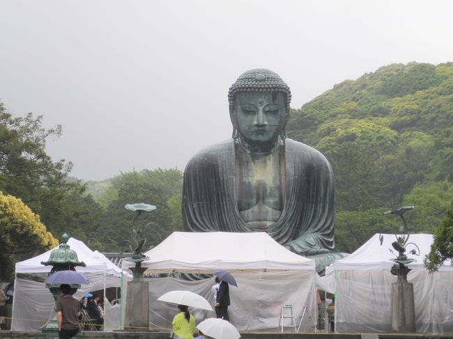 20年！？ぶりくらいに大仏様を拝見。<br />あれ？テントが･･･